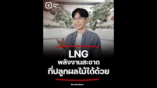 ก๊าซ LNG คืออะไร ทำอะไรได้บ้าง