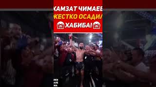 Хамзат Чимаев Жестко Осадил Хабиба #shorts #ufc #mma