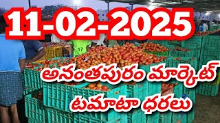 Anantapur tomato market rates/ Today Tomato Market Price/ #todaytomatorateinmadanapalle