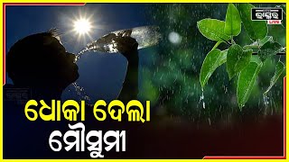 ରାଜ୍ୟରେ ମୌସୁମୀ ପାଇଁ ପାଗ ଅନୁକୂଳ ଥିବା ବେଳେ ୧୬,୧୭ତାରିଖ ବେଳକୁ ଦକ୍ଷିଣ ଓଡିଶାରେ ମୌସୁମୀ ପ୍ରବେଶ ନେଇ ସମ୍ଭାବନା