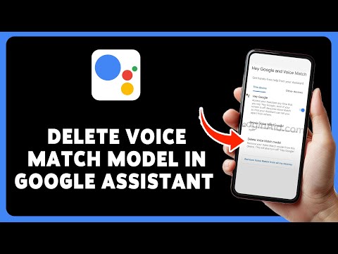 Cómo eliminar el modelo Voice Match en el Asistente de Google 2024 | Borre sus datos de voz en el Asistente de Google