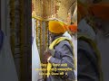 Sachkhand Sri Hazur Sahib Ji - November 4, 2024 #kirtan #amritsar #livekirtan