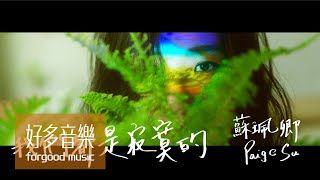 蘇珮卿 Paige Su【 我們都是寂寞的 We're all lonely souls 】Official Music Video