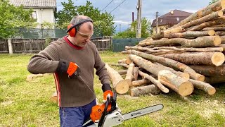 Taiere de lemne cu drujba Stihl MS 231