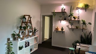 My first houseplant tour! - Australian Houseplant Collection - Rare and Common