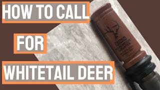 DEER CALLING 101: Primos Hardwood Grunter // How to call in a deer