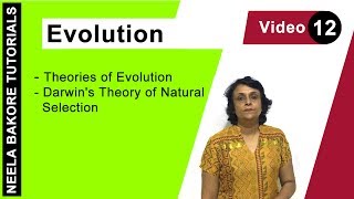 Evolution | NEET | Theories of Evolution - Darwin's Theory of Natural Selection | Neela Bakore