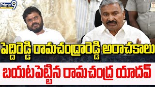 పెద్దిరెడ్డి రామచంద్రారెడ్డి అరాచకాలు బయటపెట్టిన రామచంద్ర యాదవ్ | RCY Comments On Peddi reddy