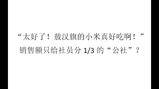 【现实观察】“太好了！敖汉旗的小米真好吃啊！” 一年45万，分15万给农民的“公社”