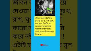 জীবন কখনো ফিরিয়ে দেওয়া হয় না, তাই দুঃখ, রাগ, ঘৃণা,..... #meher #motivation #lifeadvice video #