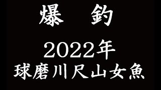 2022年　球磨川尺山女魚全集