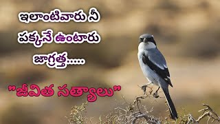 జీవిత సత్యాలు#32||motivational quotes||మంచి మాటలు||insipirational quotes||సూక్తులు||motivation|