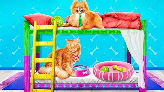 Bunk Bed For Pets