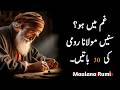 30 Maulana Rumi quotes in urdu | Agr Gam man ho to | if you are sad listen to these quotes | IslamTV