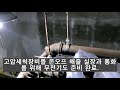 아파트 공용하수배관 제대로 청소하고 내시경으로 검사까지 하면 완벽