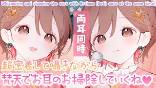 【ASMR/密着囁き】両耳を囁きながら梵天でお掃除していくね💗[Clean both ears at the same time using Brahma.]