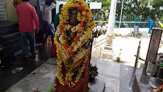 Gutte Narasimha Swamy Temple