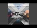 Endurance