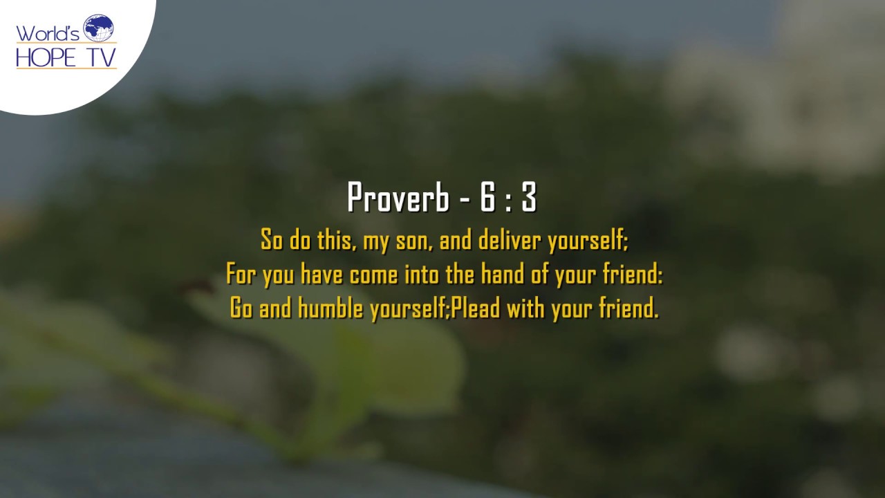 Bible Proverbs Chapter 6 In English - YouTube