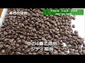 焙煎vlog　東ティモール　サンテモンテ　ブラジル　トミオ・フクダ　dry on tree