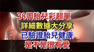 38周胎兒彩超單，詳細數據大分享，已驗證胎兒健康，是不是很有愛