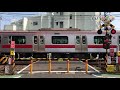 東急東横線 都立大学駅・自由が丘駅「春を感じる電車　菜の花と桜」