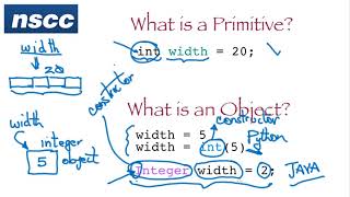 Difference between Primitive and Object Data Types in Java