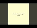 Shadow Velvet Fragile