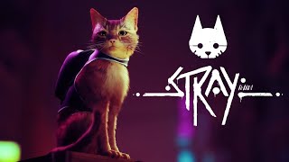 [PC] Stray part 1 - 実況なし No commentary