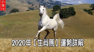 【生肖馬運勢】2020年生肖馬運勢解析，這年出生的屬馬人運途坎坷，可用這2物提升運勢