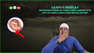 ani erga fuudhe ji'a tokko ulfi ji'a lama