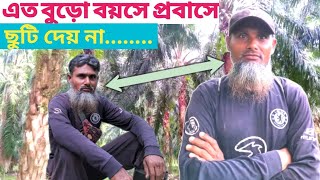 মালয়েশিয়ার পামওয়েল বাগানে কাজ করে | এত বুড়ো বয়সে প্রবাসে, কম্পানি ছুটি দেয় না কেন বিস্তারিত