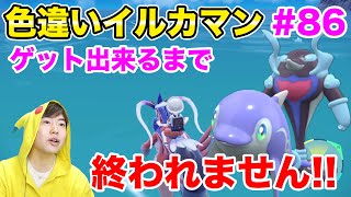 色違いイルカマンゲットできるまで終われません！からのランクがっつり！#86【ポケモンSV】