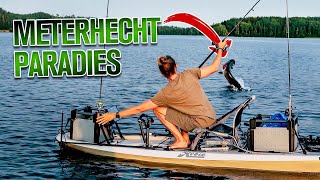 Unser XXL METERHECHT Paradies + CATCH \u0026 COOK am Lagerfeuer