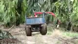 HIAB  JG5000 Collecting Oil Palm Fruits In Plantation Field