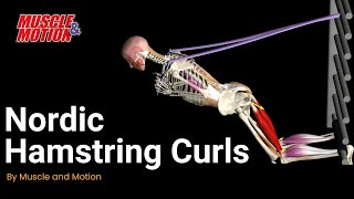 Master the Nordic Hamstring Curl for Stronger Hamstrings