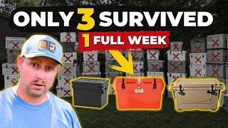 Only 3 Coolers Survived a Full Week