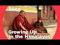 Himalayan Childhoods: A Buddhist Coming of Age | SLICE