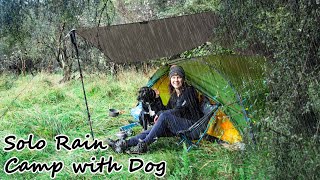 Solo Tent Camping in HEAVY RAIN and Thunder [With my Dog for Company]