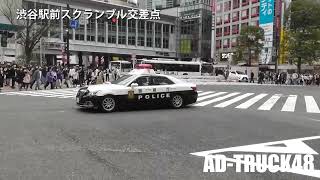 人が増え事件発生か？被疑者を確保し渋谷署へ向けスクランブル交差点を緊急走行するパトカー