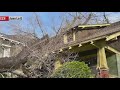 Man says city tree damages his home