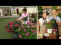 Roberta's 1-Piece Proven Winners Oso Easy Rose Live Plant on QVC