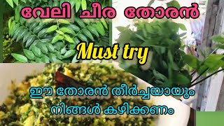 വേലിചീര തോരൻ🥗 #thoranrecipe #cheerathoran #easyrecipe #easycooking #nadanfood #cookingvideo #cooking