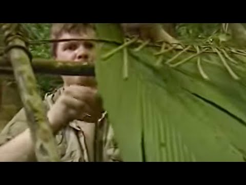 Building a shelter in the Rainforest - Ray Mears Extreme Survival - BBC Building a shelter in the Rainforest - Ray Mears Extreme Survival - BBC