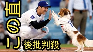 大谷翔平　デコピンの逃走劇に米メディア爆笑「デコイが真のＭＶＰ」日本でもトレンド入り「ワロタｗ」「大谷さんが抱き寄せた直後に」