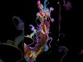 everything is beautiful abstractart animation aiart generativeart animation