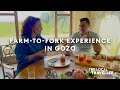 Farm-to-Fork Experience in Gozo | S4 EP: 13, part 2 | The Local Traveller with Clare Agius | Malta