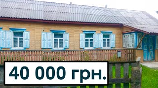 НАЙДЕШЕВША ХАТА за 40 000 ГРН 🔥 будинок в селі на продаж, огляд, Житомирська обл