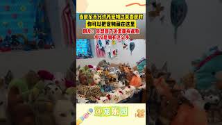 当房东不允许养宠物过来查房时 你可以把宠物藏在这里 网友：我想到了这里面有真狗 但没想到有这么多 #宠乐园 #轻松一刻 #动物