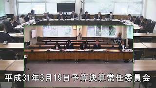 平成31年3月19日予算決算常任委員会1